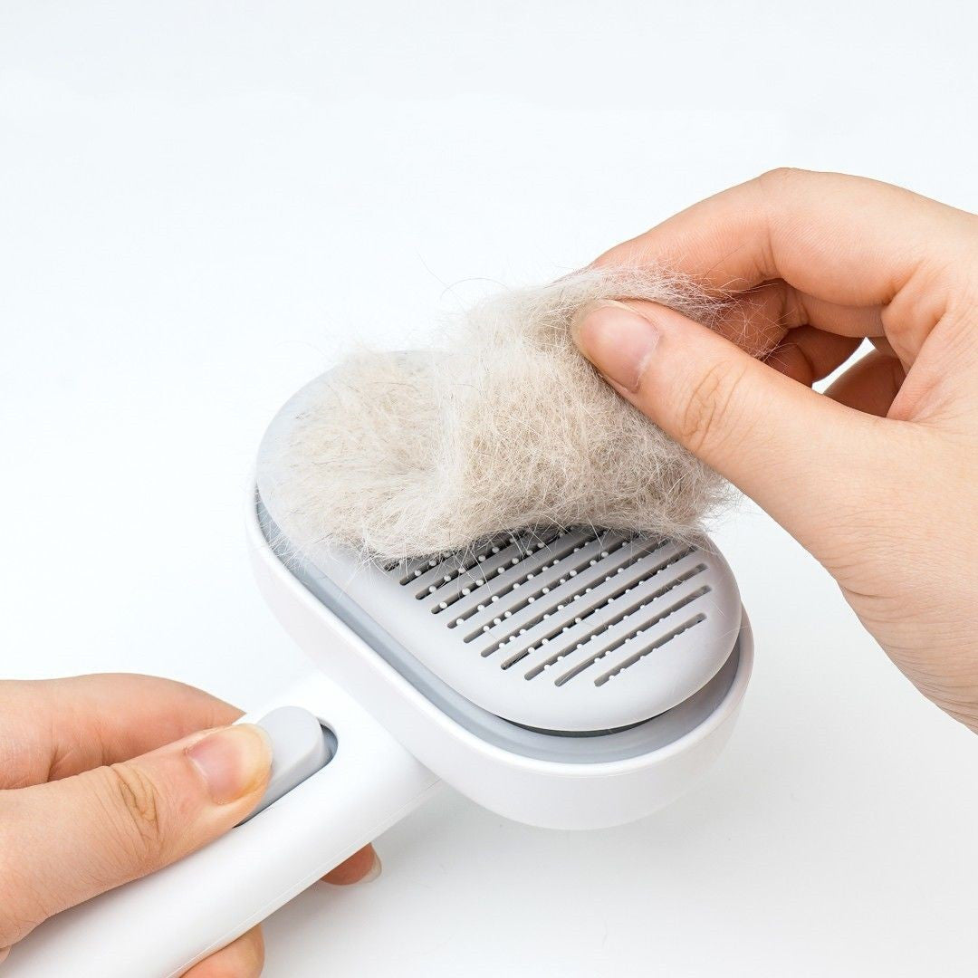 Kattkam med hårborttagning